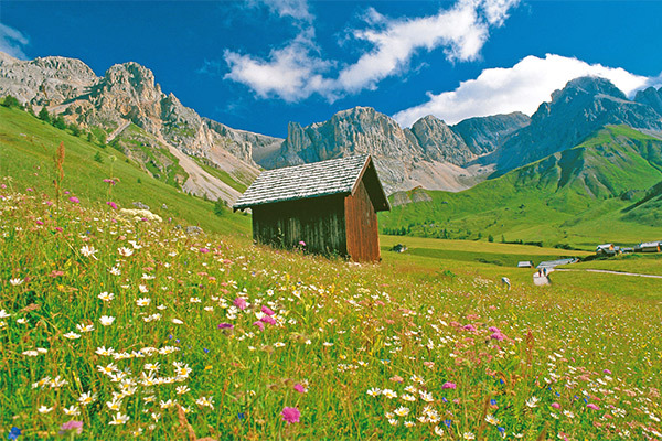 RESIDENCE ALPINE SMART RESIDENCE - Folgaria Residence low cost a Folgaria