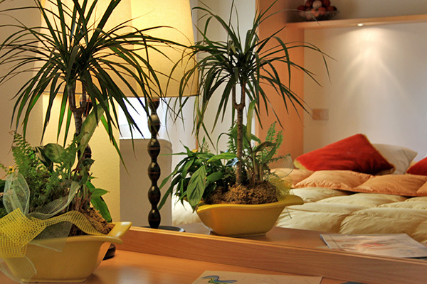 HOTEL LORETTA & DEPENDANCE - Cervia A misura di famiglia