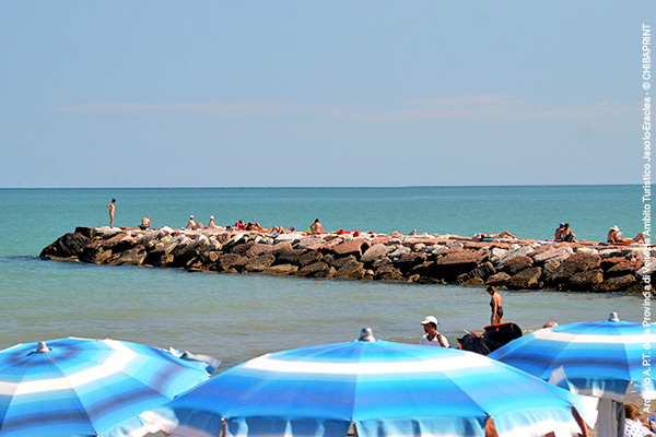 HOTEL SALUS - Lido di Jesolo In centro, a 50 metri dal mare