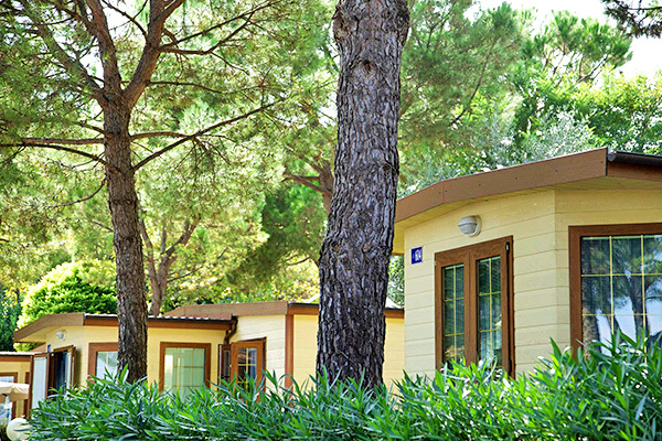 CAMPING LA GARDIOLA - San Felice del Benaco Camping fronte lago, fino a 5 posti letto