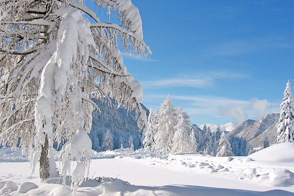 HOTEL CRISTALLO 3*S - PASSO SAN PELLEGRINO - MOENA (TN) A 50 metri dalle piste, in Val di Fassa