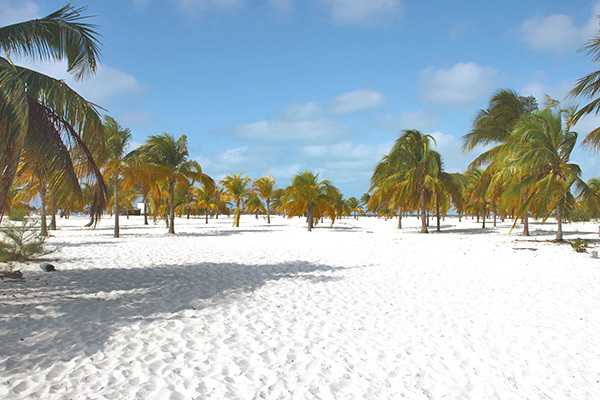 VERACLUB LINDAMAR - Arcipelago De Los Canneros - Cayo Largo Per un soggiorno rilassante