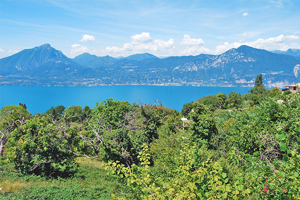HOTEL BELVEDERE - San Zeno di Montagna In posizione panoramica