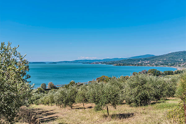 VILLAGGIO ALBERGO IL GABBIANO 3* - Passignano sul Trasimeno In posizione strategica, sul Lago Trasimeno