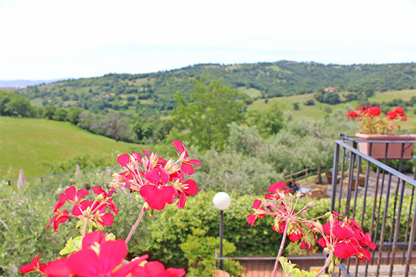 HOTEL RESORT ANTICO CASALE DI SCANSANO 4* - Scansano Ambiente tradizionale con vista sulle colline della Maremma
