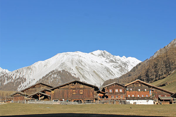 BERGHOTEL TYROL & FIRN 3*S - Trentino Alto Adige - Senales (BZ) Sport e wellness ad alta quota, nel Parco Naturale Gruppo di Tessa