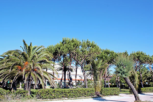 HOTEL SAN REMO 3* - Villa Rosa di Martinsicuro (TE) All Inclusive, fronte mare