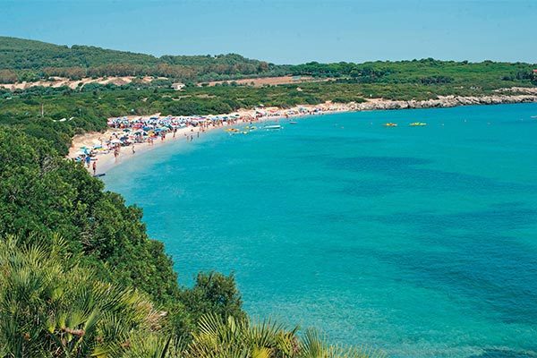 CAMPING VILLAGE LAGUNA BLU - Alghero Camping Village immerso nel verde