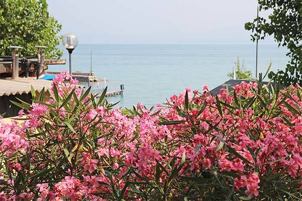 CAMPING SAN BENEDETTO VECCHIO MULINO 4* - Peschiera del Garda (VR) Soggiorno in riva al lago, con ingresso a Gardaland