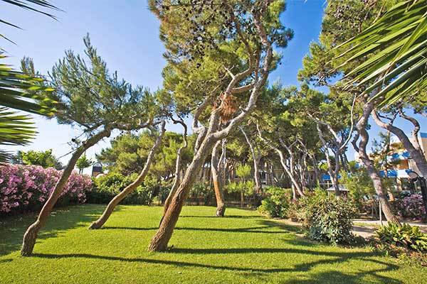 HOTEL PARCO DEI PRINCIPI 4* - Giulianova (TE) Eccellenza alberghiera fronte mare