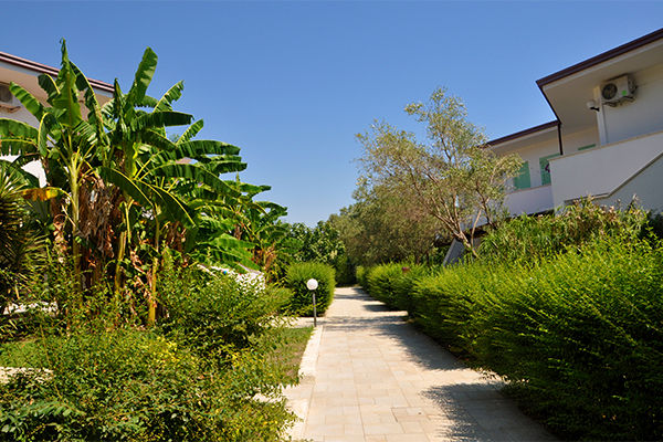 Oasi di relax immersa nel verde, fronte mare