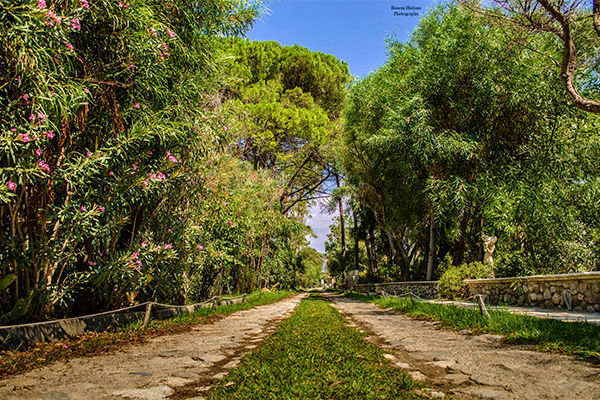 Oasi di relax immersa nel verde, fronte mare