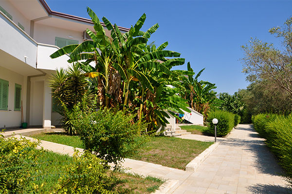 Oasi di relax immersa nel verde, fronte mare