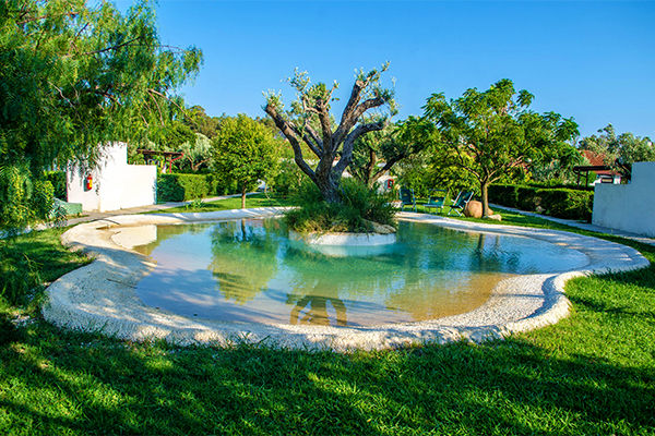 Oasi di relax immersa nel verde, fronte mare