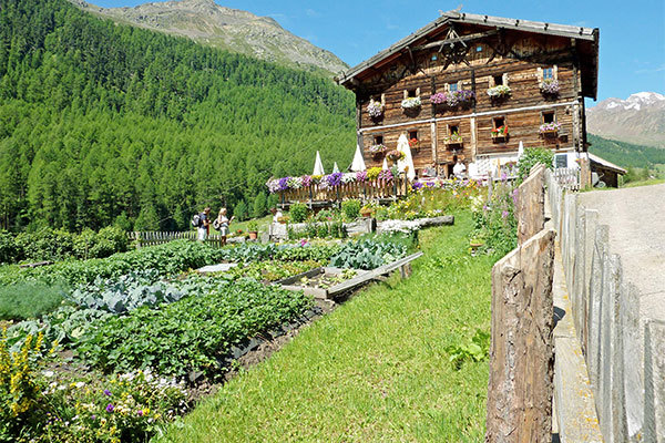 PICCOLO HOTEL GURSCHLER 3*S - Senales (BZ) Ai piedi del ghiacciaio della Val Senales