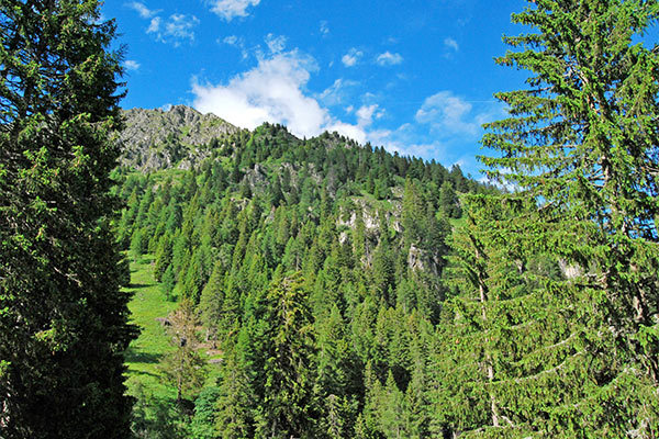 HOTEL EUROPEO 4* - Pinzolo (TN) Relax e benessere a Pinzolo