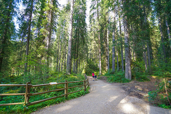 In Val di fassa, a 800 metri dalle piste da sci