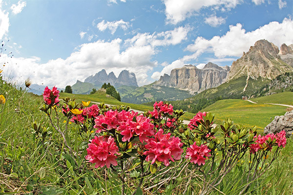 HOTEL TOURING 3* - Pozza di Fassa (TN) Posizione panoramica in Val di Fassa