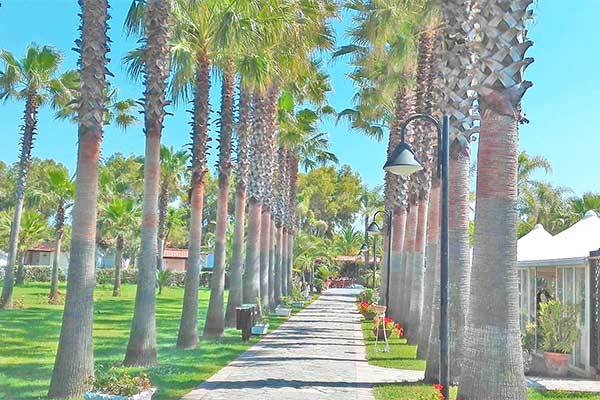 GIALPI FAMILY VILLAGE VELIA 3* - Casal Velino (SA) Immerso in 30.000 mq di verde, nel Cilento