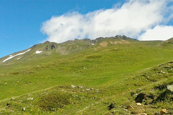 GASTHOF EDELWEISS 3* - Malles Venosta (BZ) Natura e sport in Val Venosta