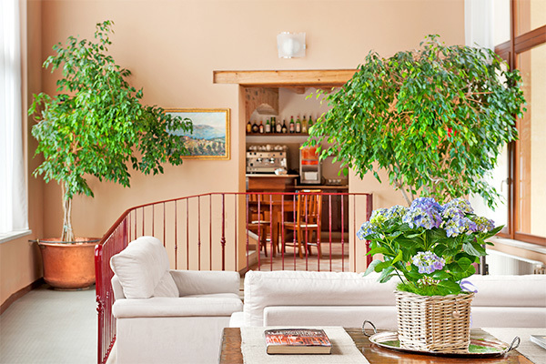 HOTEL TRE PUNTE 3* - Gargnano (BS) Hotel 3* immerso nel verde delle colline circostanti il Lago di Garda