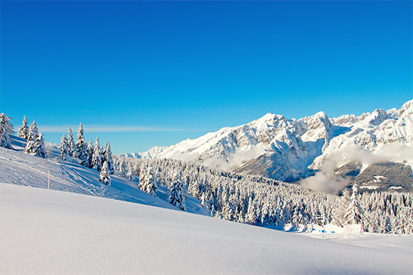 HOTEL BELVEDERE & PARADISE CLUB CENTER 3*S - Fai della Paganella (TN) Area wellness di 1200 mq nel cuore delle Dolomiti