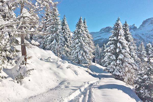 HOTEL EUROPEO 4* - Pinzolo (TN) Relax e benessere a Pinzolo