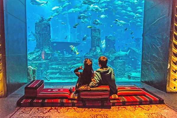 Amwaj Rotana 5* - Jumeirah Beach (Dubai - Emirati Arabi Uniti) Mare e Relax tra le spiagge di Jumeirah Beach