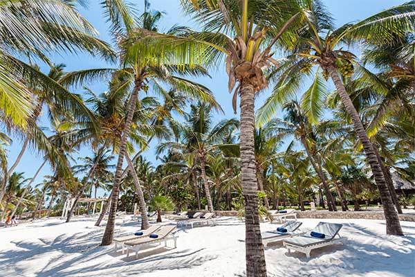 TURISANDA CLUB SUN PALM BEACH RESORT 4*S - Watamu (Watamu - Kenya) 4*S direttamente sulla spiaggia di Watamu