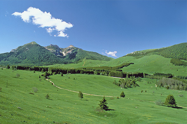 DOLOMITI CHALET FAMILY HOTEL 3* - Vason del Monte Bondone (TN) Family Hotel 3* Low cost sulle Dolomiti
