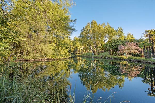 HOTEL DU LAC ET DU PARC 4* - Riva del Garda (TN) Immerso in un parco sulle rive del Lago di Garda
