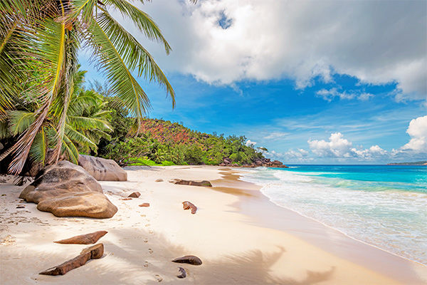 Un paradiso tropicale.