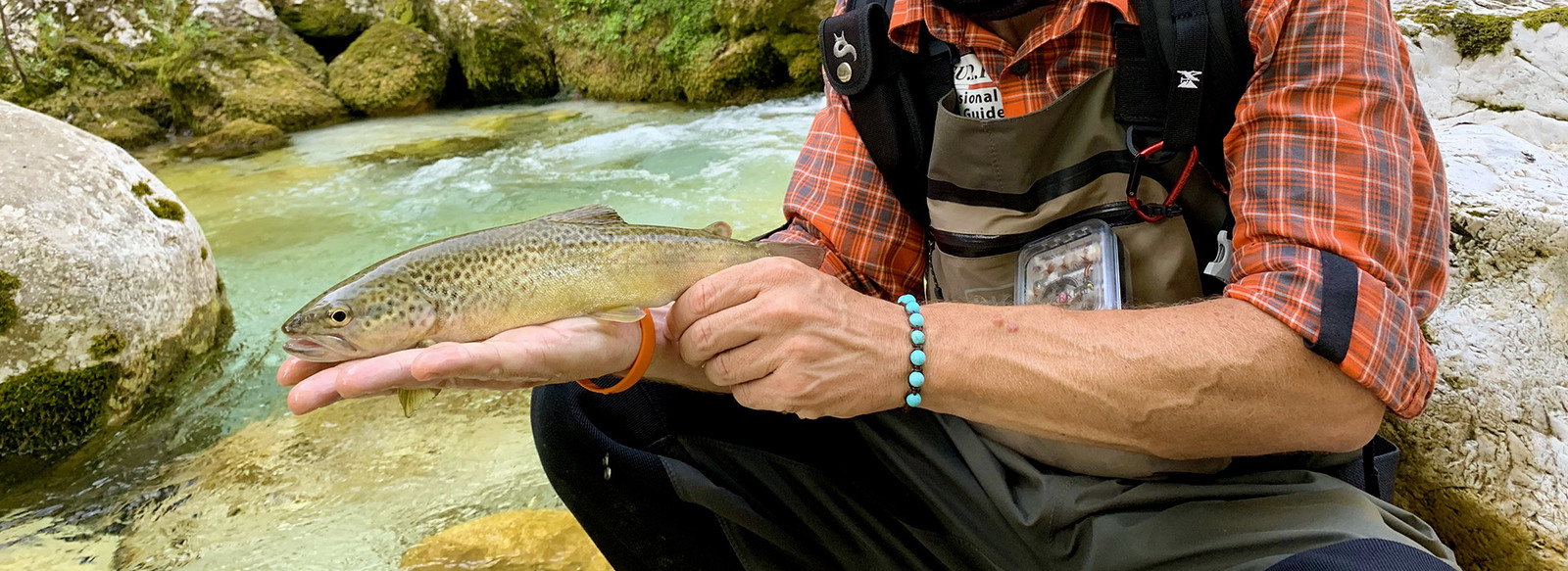 Cosa Si Pesca In Friuli Venezia Giulia