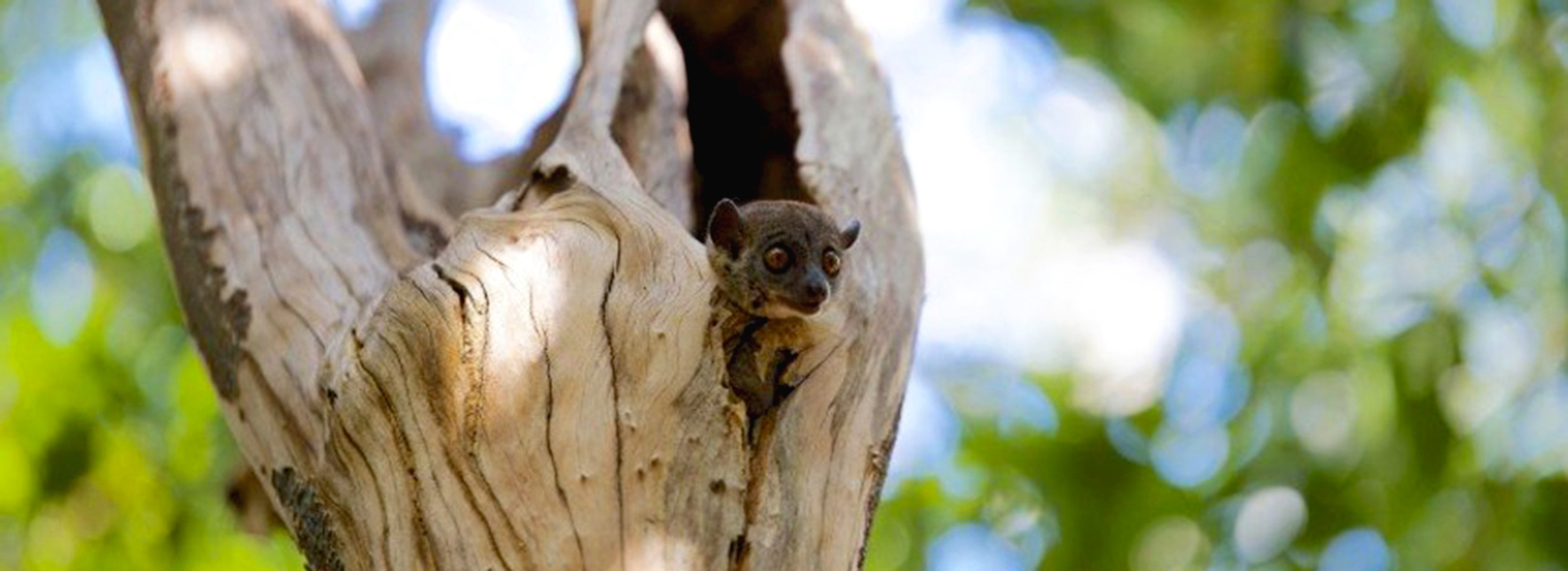 Un itinerario dai mille colori in Madagascar