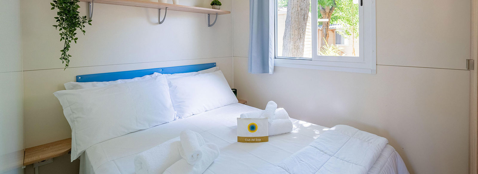 Nel cuore della Romagna