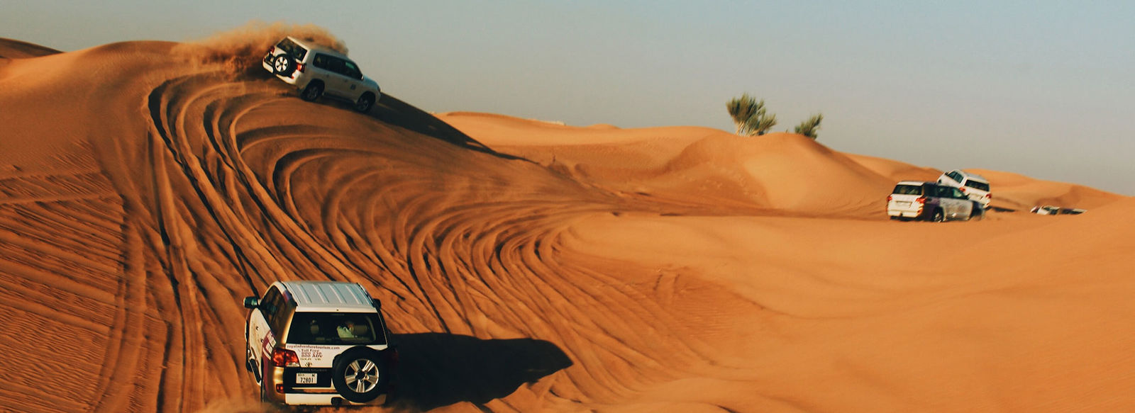 Affascinante tour alla scoperta di Dubai ed Abu Dhabi