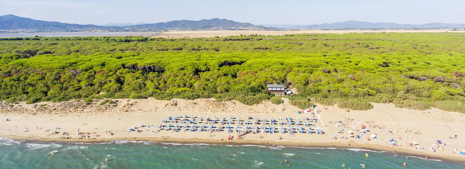 Fronte mare, nel cuore della pineta della Maremma Grossetana