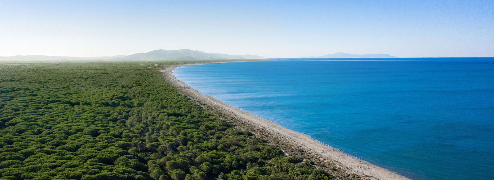 Fronte mare, nel cuore della pineta della Maremma Grossetana