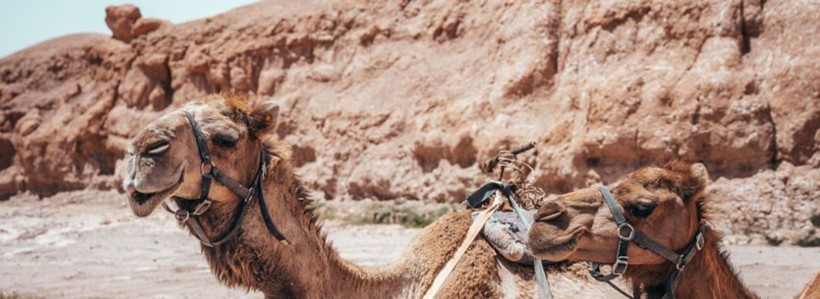 Marocco autentico: un viaggio tra storia, colori e deserto