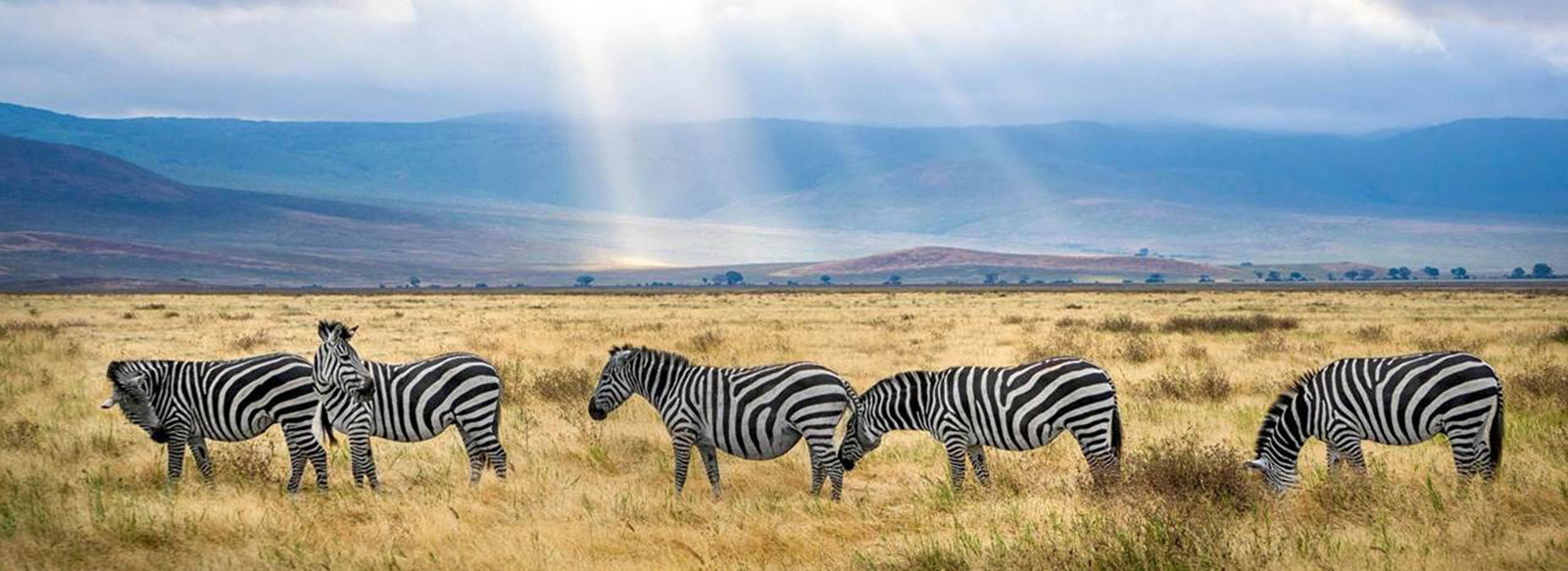 Tra game drive nella savana e spiagge paradisiache
