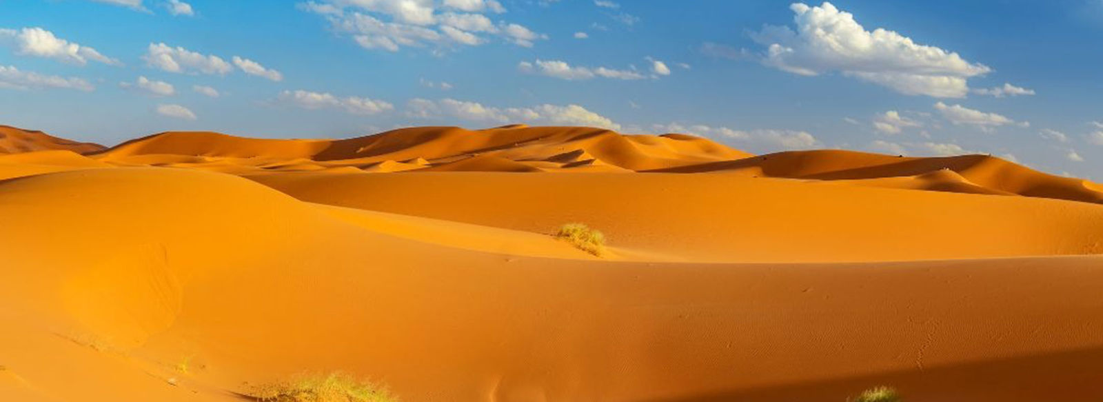 Oltre Marrakech: viaggio nel Marocco più autentico