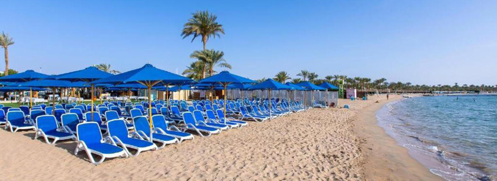 Nel cuore di Naama Bay