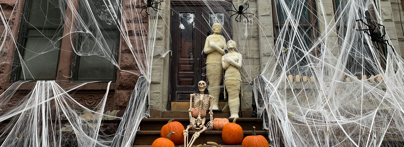 La magia dell'autunno a New York