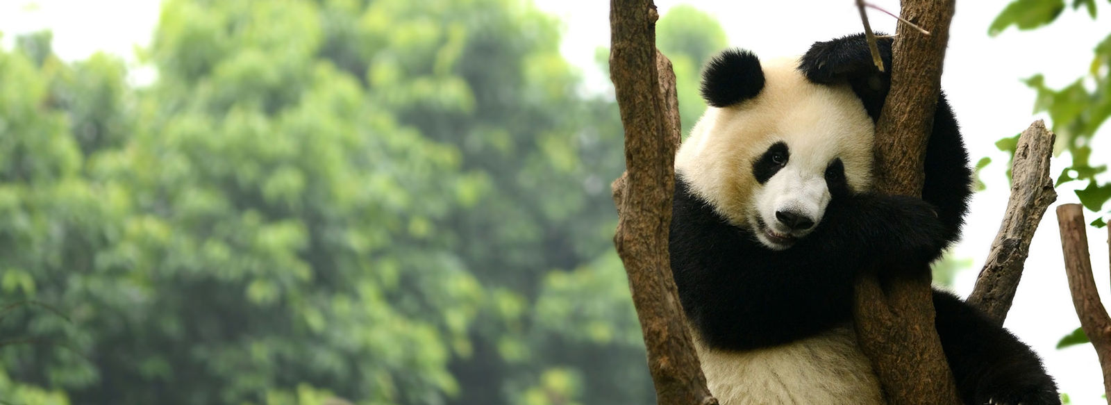 La Cina più autentica