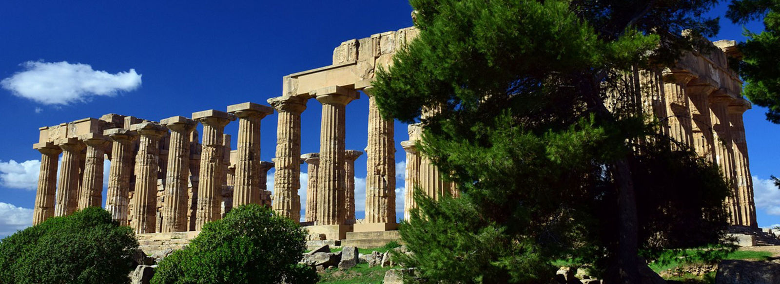 Immerso in un parco di 48.000 mq