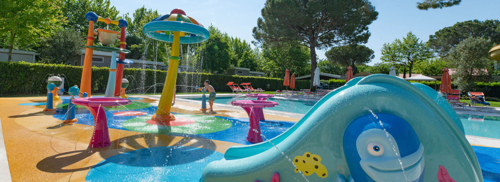 Tra comfort e divertimento