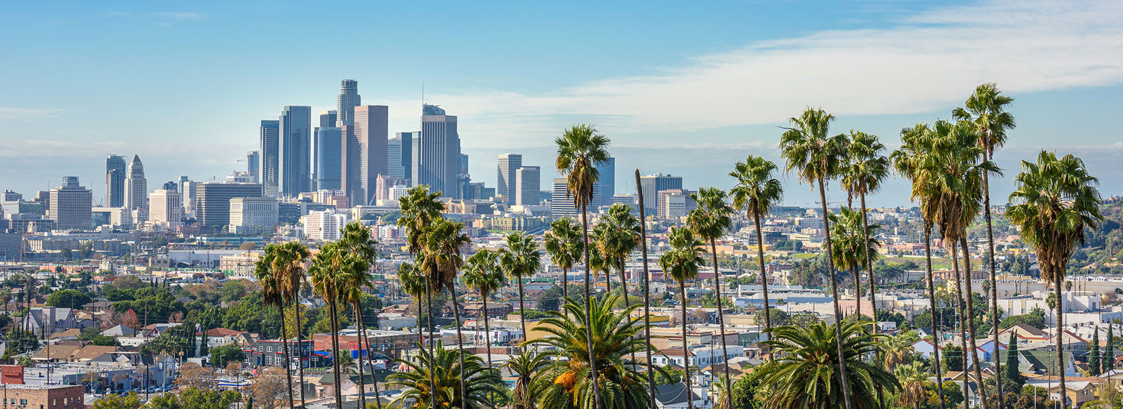 Dalle luci di Hollywood e Las Vegas ai silenzi dei Parchi Nazionali