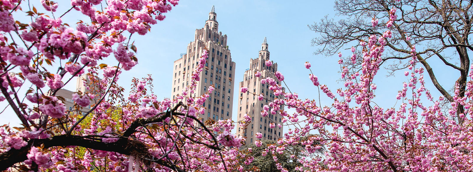 Alla scoperta di New York: da Central Park a Brooklyn