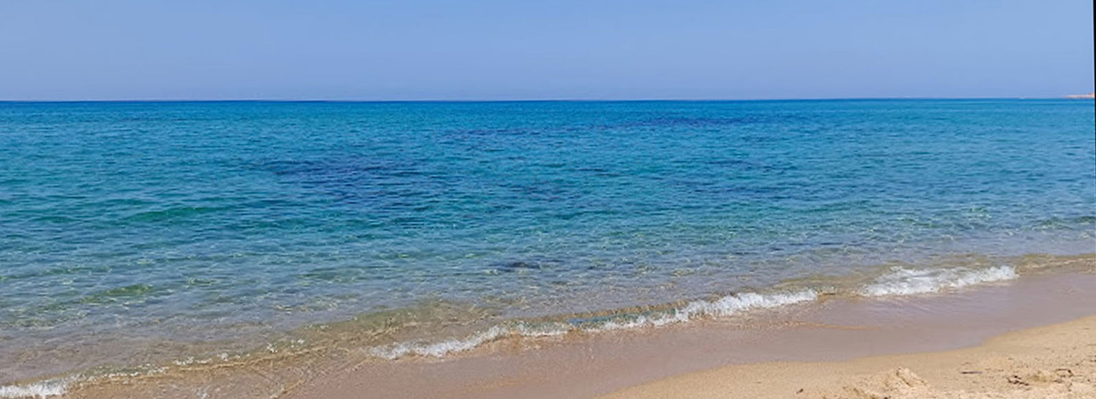 Immerso in un bosco di 9 ettari