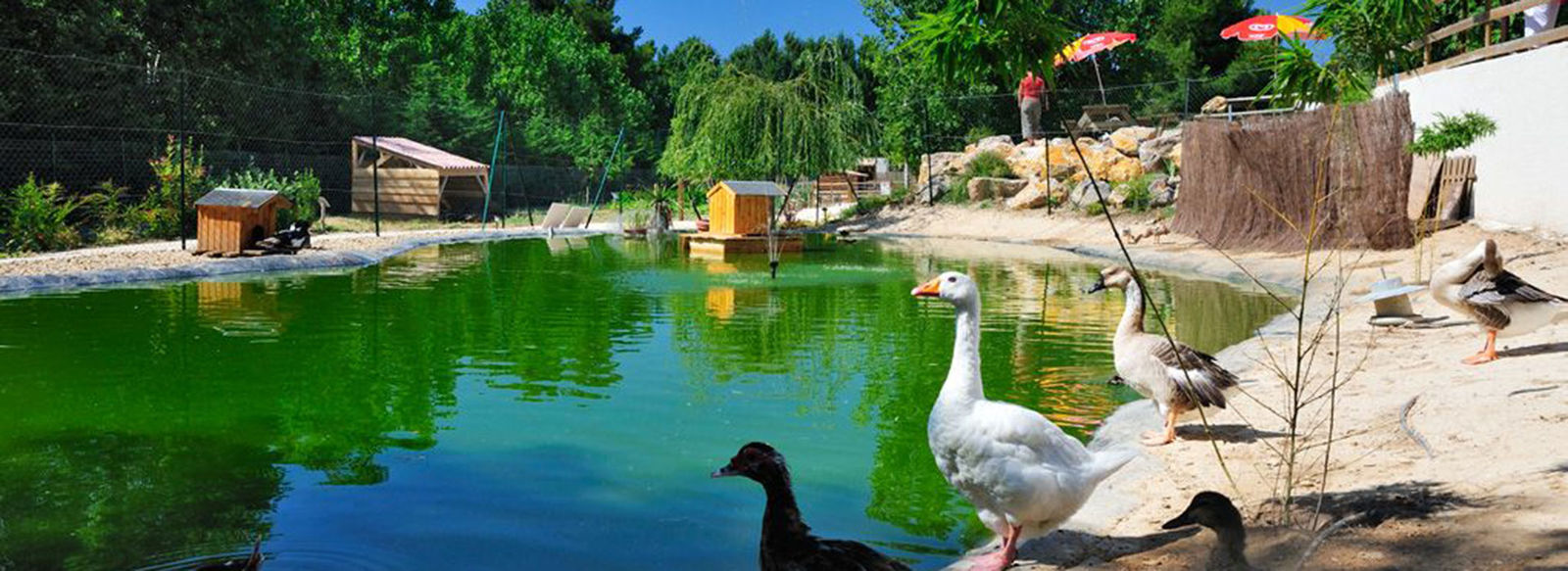 Parco acquatico di 1.000 mq